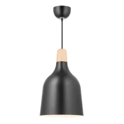 Odense kattovalaisin